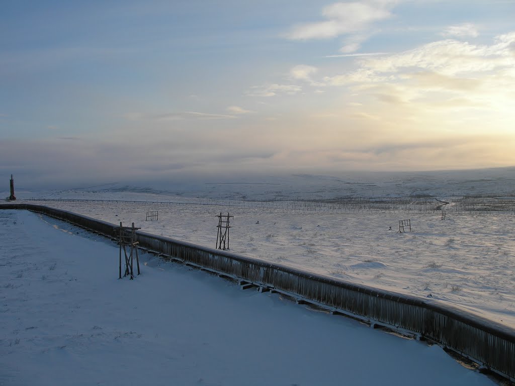 Cable corridor in tundra, Norilsk Vega MS